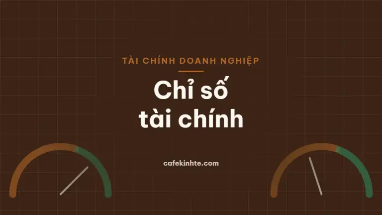 Minh họa các chỉ số tài chính ROE ROA biên lợi nhuận hệ số nợ