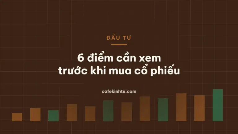 Minh họa đọc báo cáo tài chính trước khi đầu tư cổ phiếu